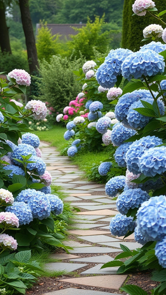 A stone pathway surrounded by blooming hydrangeas in shades of blue and pink.